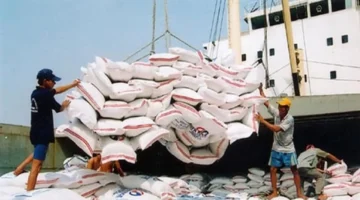 تحركات فيتنام لتعزيز حضور الأرز الوطني في الأسواق العالمية عبر خطة ترويجية